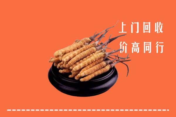 安次区回收冬虫夏草